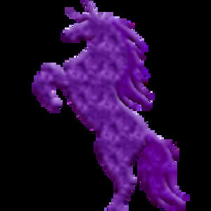 Meet your Posher, Esperanza